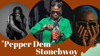 stonebwoy pepper dem official video ft edem u0026 amaarae reaction 