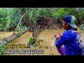 Download Lagu Di bawah jembatan tua..!! Ternyata jadi sarang-Nya berbagi jenis ikan