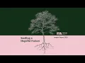 Seeding a Hopeful Future - PAA Impact Report 2025