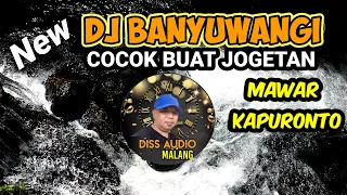 dj terbaru banyuwangi slow bass