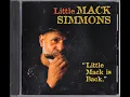 The Sky Is Crying - Little Mack Simmons