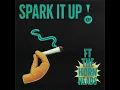 Spark It Up (feat. The Hornheads) - Electric Kif
