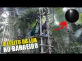 Download Lagu O EFEITO DO CLARO DA LUA  NO BARREIRO