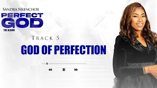 sandra nkenchor god of perfection official audio 