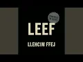 Leef feeL (feat. Sharada Bhujangam)