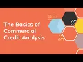 Understanding Commercial Credit Analysis A Comprehensive Guide for Beginners