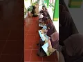 Download Lagu Senang sekali melihat mereka gemar membaca buku