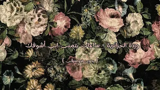 وردة الجزائرية ساعات بتمنى اني اشوفك بدون موسيقى 