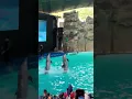 Jogedin dulu kawan #ancol #seaworld #altantis #jakarta