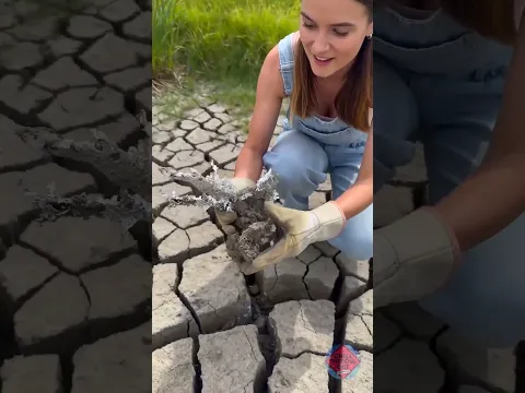 Magisches Metall im Natur-Experiment – Ein faszinierender Wow-Effekt! ✨🌿