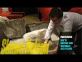 HOW TO MAINTAIN YOUR SACTIONALS BACK PILLOWS Shawn Nelson CEO of LOVESAC
