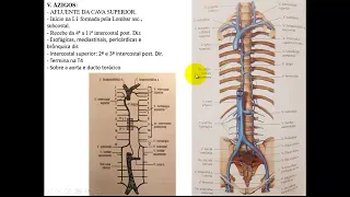 VÍDEO AULA DE VEIAS DO TÓRAX   SISTEMA ÁZIGOS