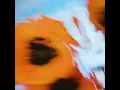 never leave - Shallou & puulse