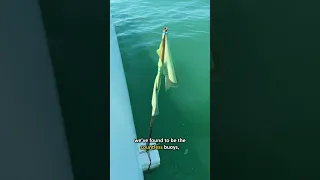 Day in the Life: Sailing Thailand 🇹🇭