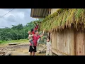 Download Lagu Today is the rice harvest day, it rained so the harvest was quite hard.