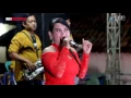 Download Lagu Sambel Goang - Intan Erlita - NAELA NADA