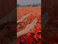 Download Lagu icche kore ekla ghore thabo dujonai🥰👩‍❤️‍👨#viral#viralshorts#trending#dance#love