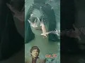 ابوبكرسالم وينك يا درب المحبه الطرب الأصيل والذوق الرفيع