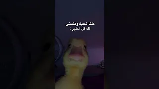 ريلزات الانستا بتعجبكم                   حالات واتساب  ستوريات انستا             حب                 دندنها