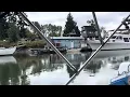 Sweet Pee Exploring the tributaries in Everett Washington
