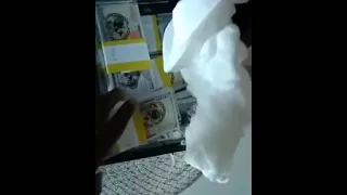                                       دندنها