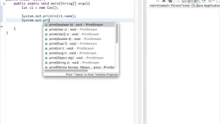 Java Lesson 31 - Default values for instance variables