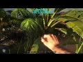 What is Mejoberry seed - ARK Survival Evolved