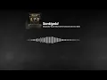 Santigold - Disparate Youth (Summit Emotional Schranz Edit)