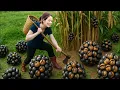 Download Lagu 5 Secrets to HARVESTING Wild Chicken Gizzards for the Market