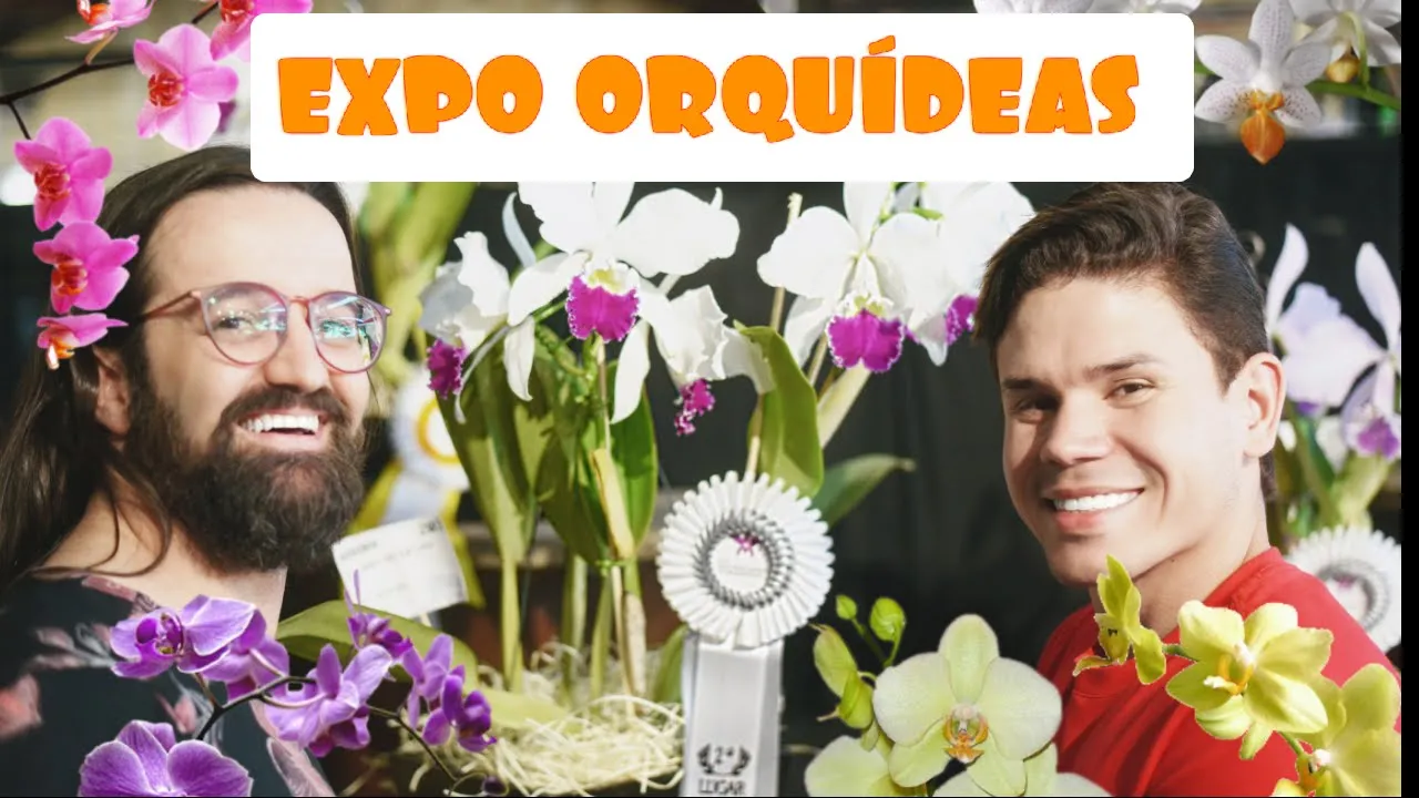 EXPOSIÇÃO DE ORQUIDEAS FLORAÇÃO DE ORQUIDEAS MARCOS JUNIOR ORQUÍDEAS