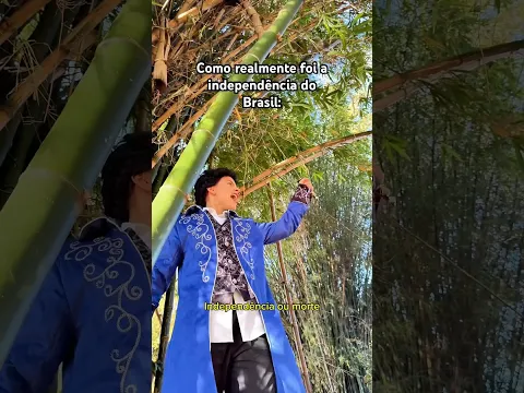 Como Realmente foi a Independência do Brasil