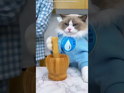 🍪 ¡El Truco Secreto con los Oreo! 😱🥛