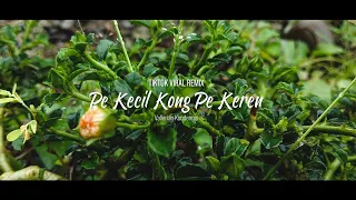 Download TikTok Viral Remix - Pe Kecil Kong Pe Keren (Vallerian Kondengis) MP3