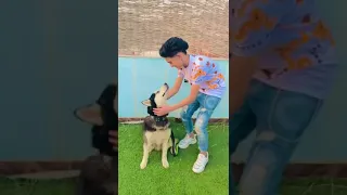 سامر المدني صحبت جيب ومفيش حبيب والكل عاوز يجرحني لا مش صحاب ده انا اجيب كلاب تسند جنبي وتحرسني 