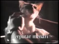 Download Lagu Biarkan Aku Kembali - Indra Lesmana