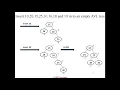 AVL Tree Insertion Example