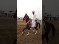 Download Lagu #horse horse lover❤ butt club khepranwala viral💯🔥 page 🚩🚩channel ko subscribe kar de😇💯
