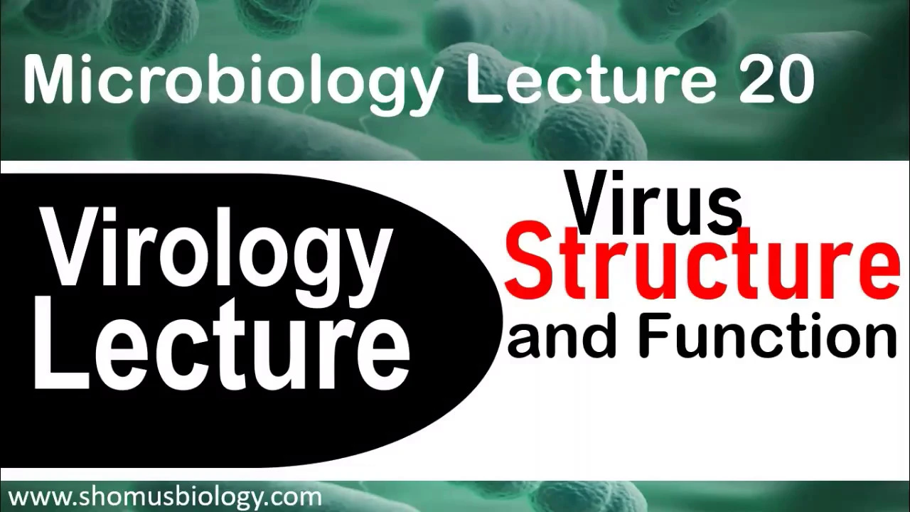 Virology lecture 1 | Virus structure and classification