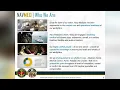 Navy Medicine Accessions Enterprise Overview