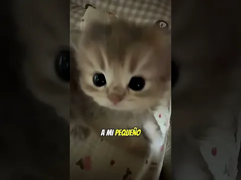 Este viaje en ascensor terminó en un desastre 😱