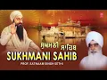 24x7 NON STOP SRI SUKHMANI SAHIB JI PATH || ਸੁਖਮਨੀ ਸਾਹਿਬ || सुखमनी साहिब || Prof. Satnam Singh Ji