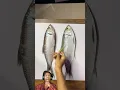 Realistic fish drawing
