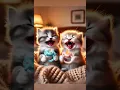 Download Lagu dua kucing kecil ngakak, gara gara denger suara kentut #kucinglucu #anakkucinglucu