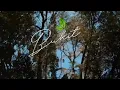 Download Lagu BUKIT - BICARA DENGAN RASA (OFFICIAL MUSIC VIDEO) || New Single
