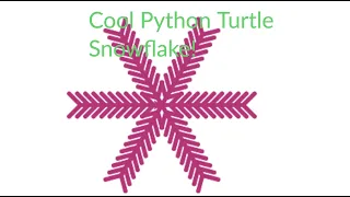 Python Turtle Cool Snowflake Design With Random Colors
