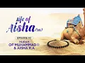 Download Lagu Hijrah of Muhammad ﷺ \u0026 Aisha R.A | Episode 2 | Life of Aisha RA | Ustadha Fatima Barkatulla