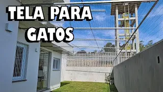 COMO TELAR O PÁTIO PARA GATO. Quintal seguro, protegido para os gatos - Gatil Hauser