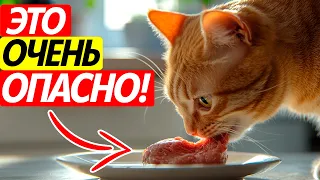 Эти ОШИБКИ делают кошек НЕСЧАСТНЫМИ! Как их избежать?