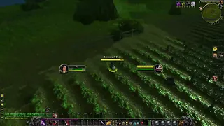 Classic WoW - Rogue disconnects when strafe stealth
