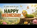 Happy Wednesday Wishes Cute Animated Good Morning Greetings Blessings